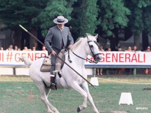 EQUITATION DE TRAVAIL