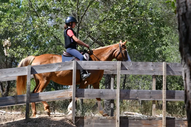 Épreuve pont discipline Mountain Trail