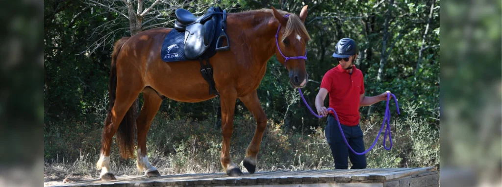 Épreuve Mountain Trail - pont roulant